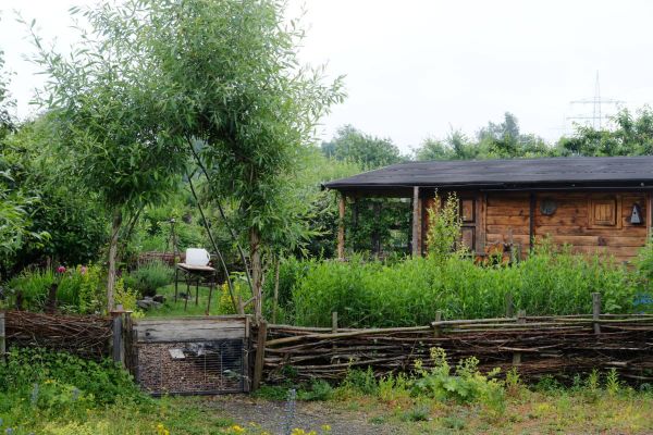 Kraut und Rüben: Eine ganz besondere Kleingartenanlage