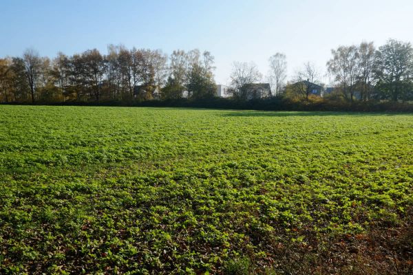 Diskussion um Neubaugebiet Hiltrop: „Warum sollen andere Leute nicht schön wohnen können?“