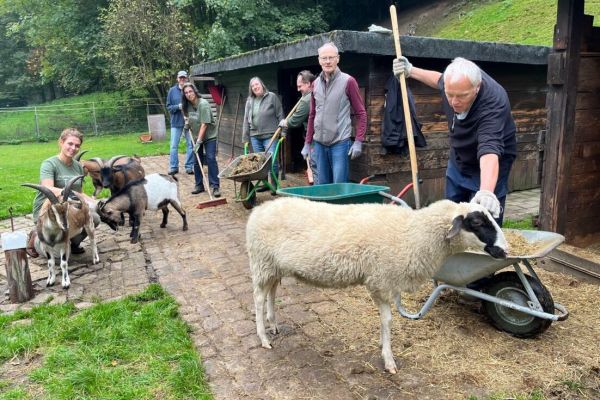 Verein kümmert sich um das Tiergehege im Höntroper Südpark
