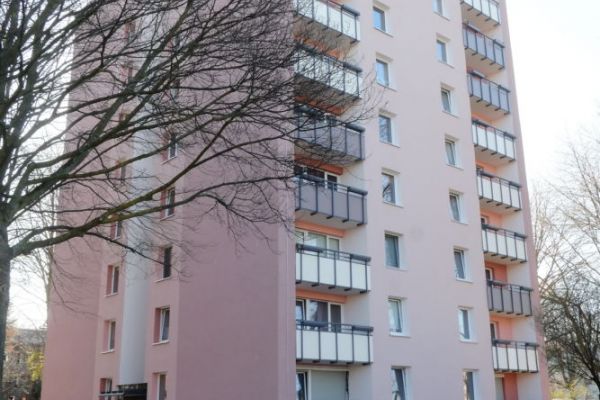 Mutig: Rosa Riesen am Rosenberg