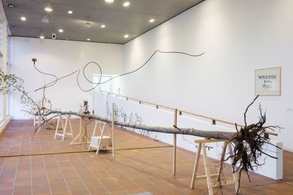 Fluxus: Provokation als Methode