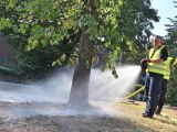 Gießpaten gesucht: Wasser für Bäume und Wasser in Teichen