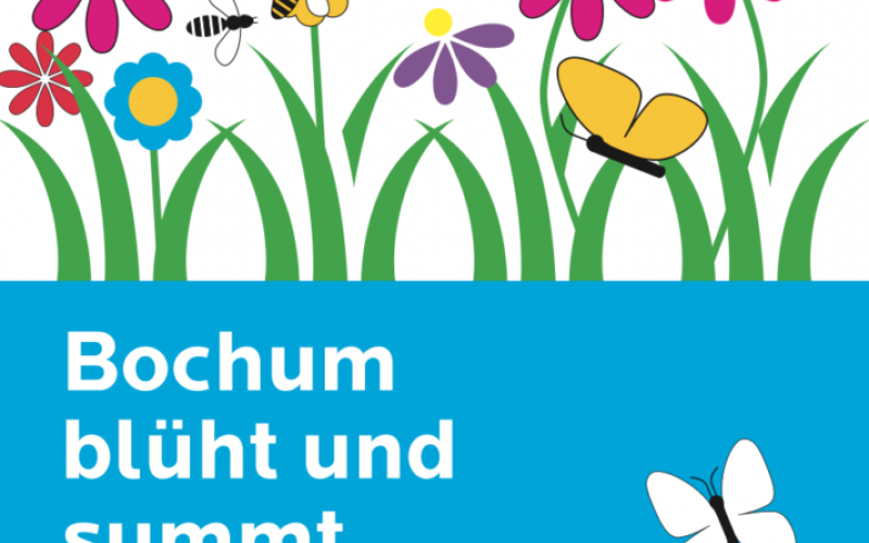 Wettbewerb: „Naturnahe und insektenfreundliche Vorgärten in Bochum!"
