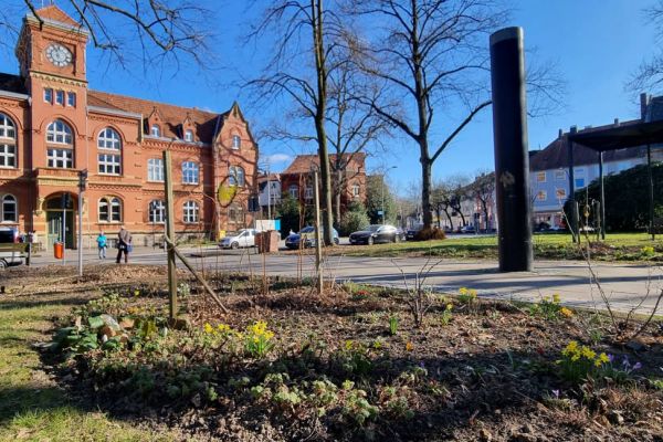 Urban Gardening: Blumen, Gemüse und Kräuter mitten in Langendreer