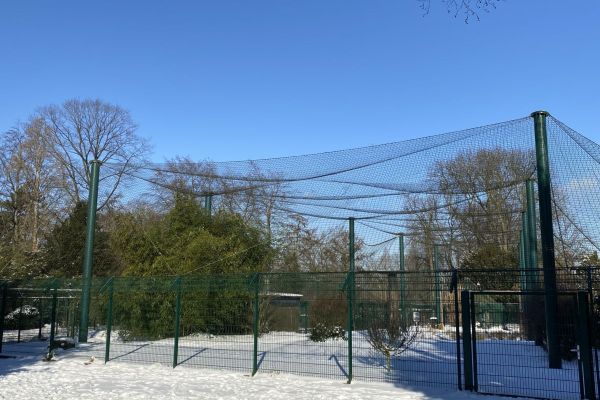 Vogelpark Stadtgarten