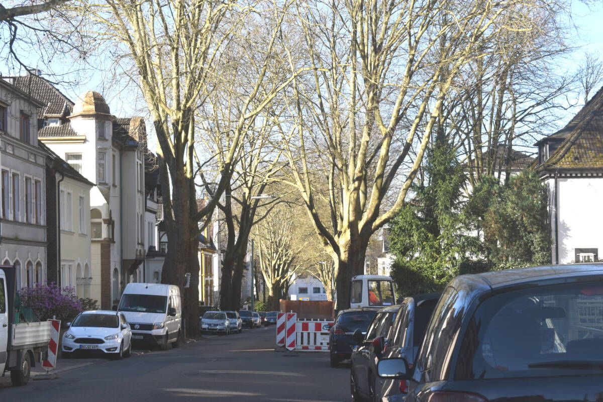 Gravierender Umbau auf der Graf-Adolf-Straße