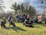 Doggen Club: Training schweißt Mensch und Hund zusammen