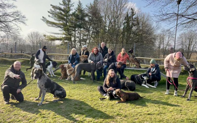 Doggen Club: Training schweißt Mensch und Hund zusammen