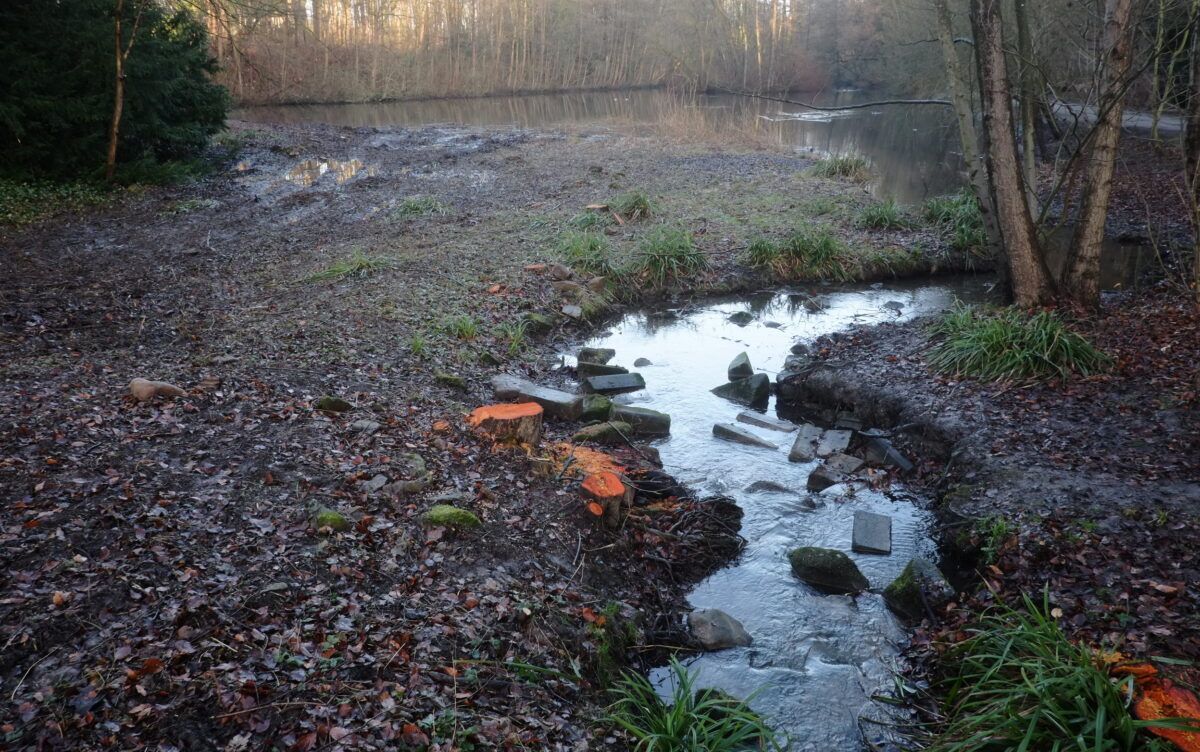 Stadt errichtet Aussichtssteg am Teich im Volkspark Hiltrop