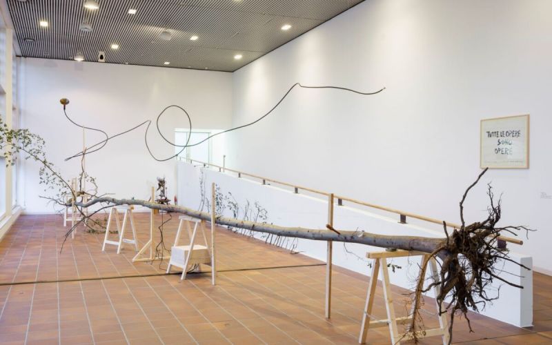 Fluxus: Provokation als Methode