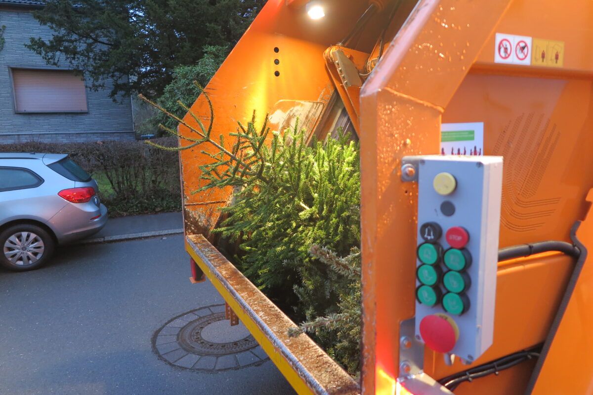 USB sammelt wieder Weihnachtsbäume ein