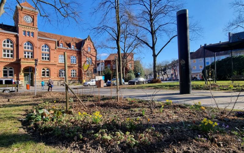 Urban Gardening: Blumen, Gemüse und Kräuter mitten in Langendreer