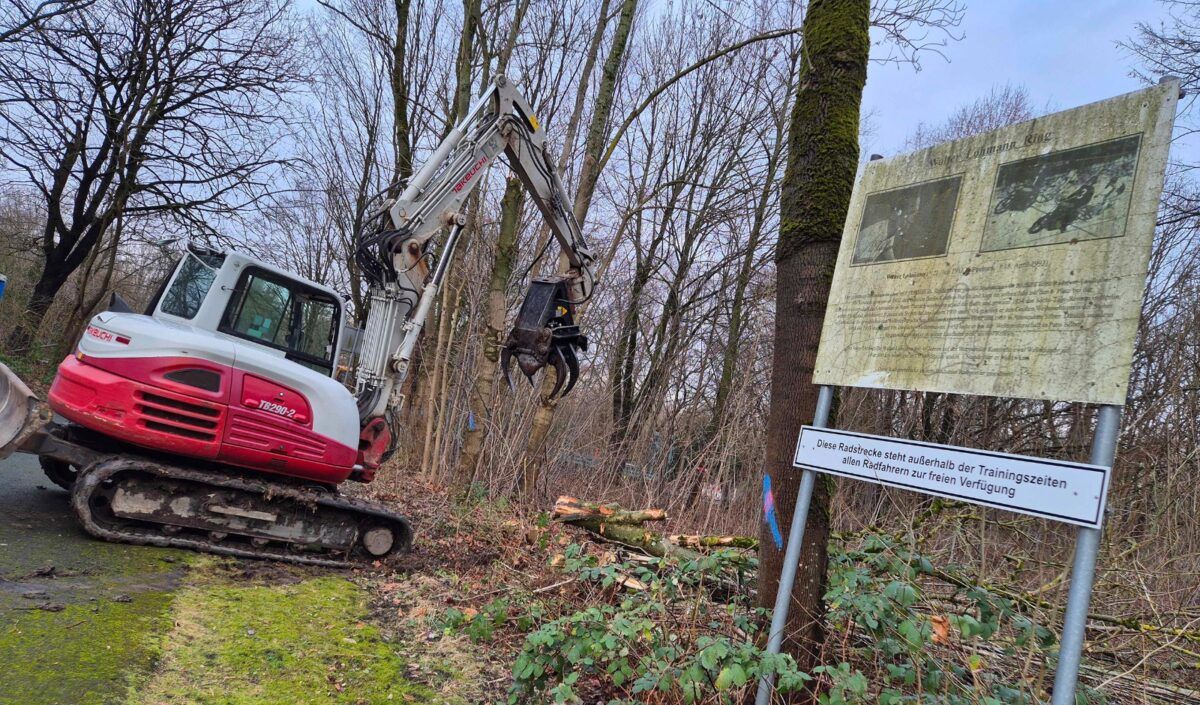 Radsportanlage Feldmark: 34 Bäume müssen weichen