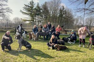 Jeden Samstag treffen sich im Doggen Club am Hosiepen 2 Herrchen und Frauchen mit ihren Lieblingen aller Hunderassen zum Austausch und gemeinsamen Arbeiten mit ihrem Vierbeiner. Foto: Sabine Raupach-Strohmann