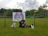 Hundeschulen Pottdogs