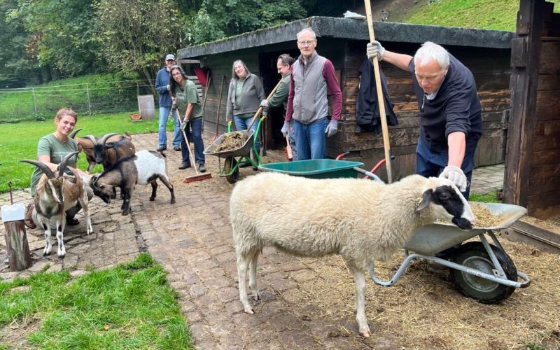 Verein kümmert sich um das Tiergehege im Höntroper Südpark