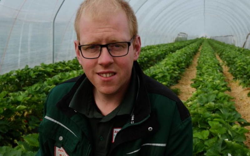 Bauer Appelbaum: Am 13. Juni können Erdbeeren gepflückt werden