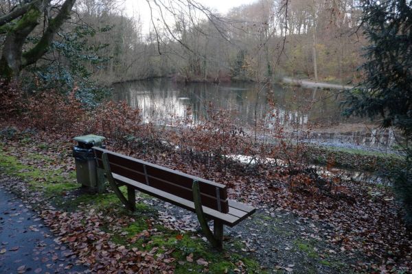 In diesem Winter wird der Teich im Volkspark Hiltrop entschlammt – das Foto ist von Ende November, da hatten die Arbeiten noch nicht begonnen