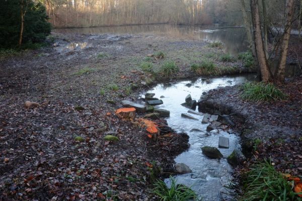 Stadt errichtet Aussichtssteg am Teich im Volkspark Hiltrop
