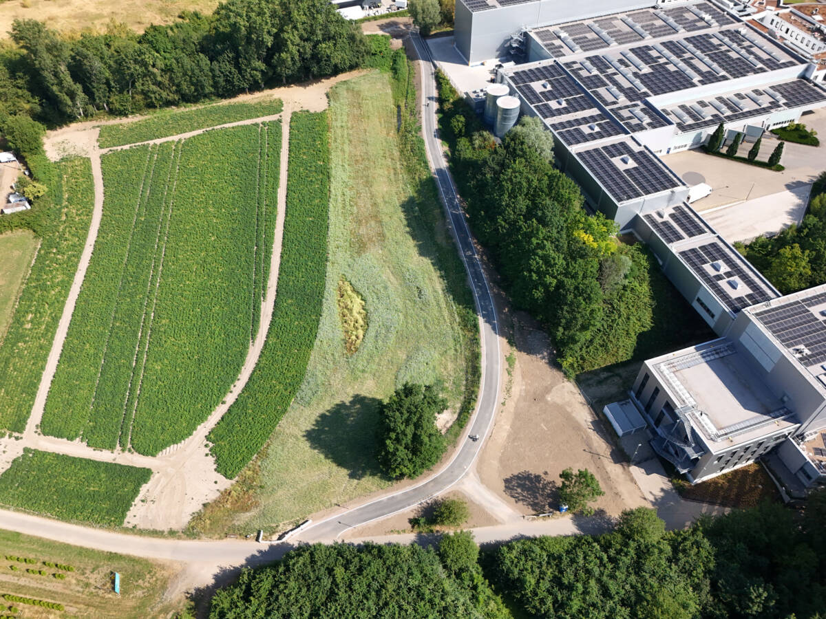 Foto: Lutz Leitmann/Stadt Bochum