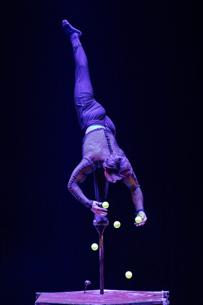 20241223 9580 bilderbube