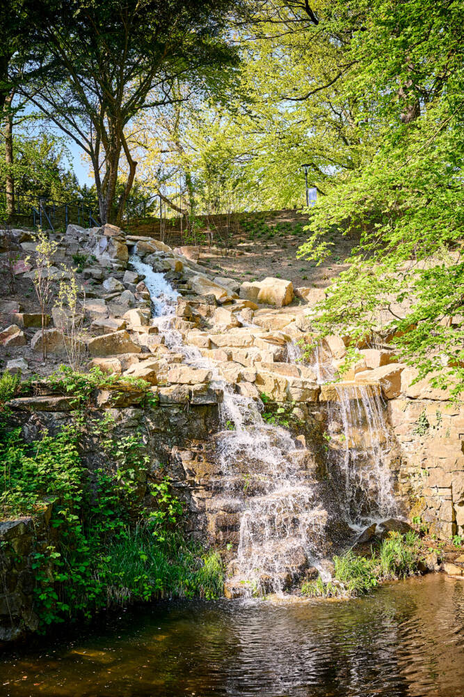 30 Baustellenfuehrung Stadtpark 23.04.2026 DYenmez