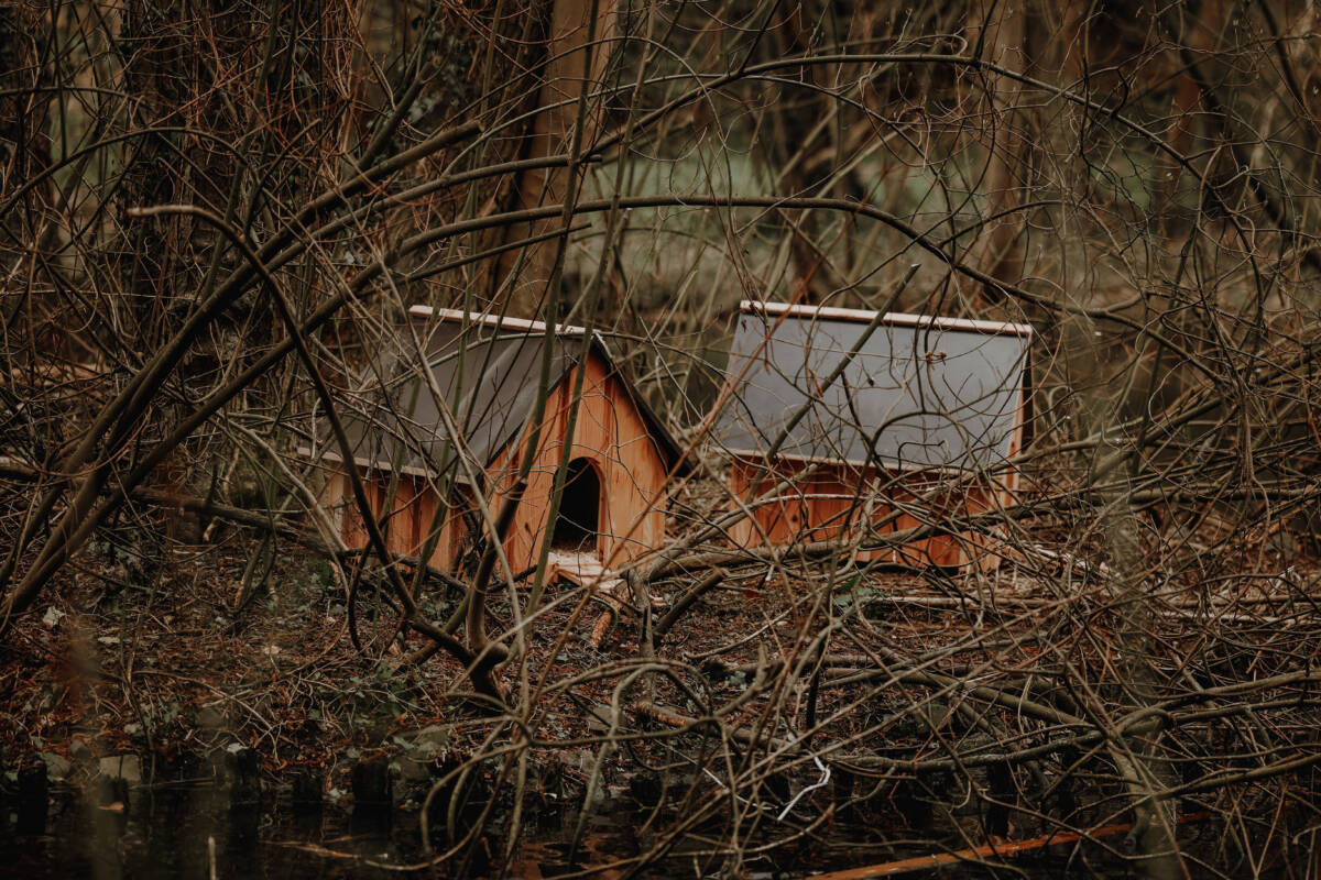 Spaziergänger sind von den neuen Zufluchtsorten für Enten begeistert. Fotos: Katharina Stipp