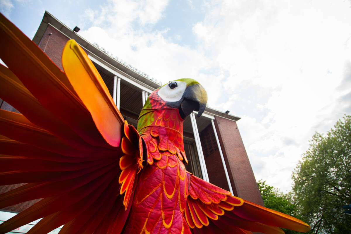 Das Fidena-Festival wird von der Stadt Bochum unterstützt. Mit dabei sind unter anderem farbenfrohe Straußenvögel der niederländischen Gruppe Teatro Pavana. Foto: Simon Baucks