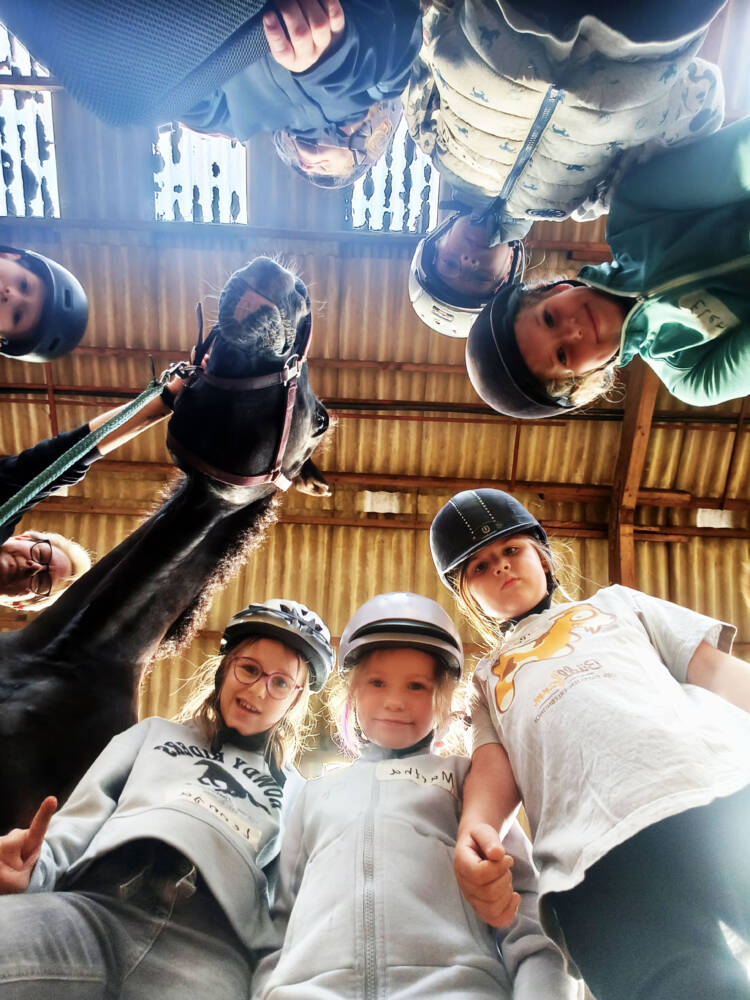 STWBO 3108 PowerPiraten Reitschule
