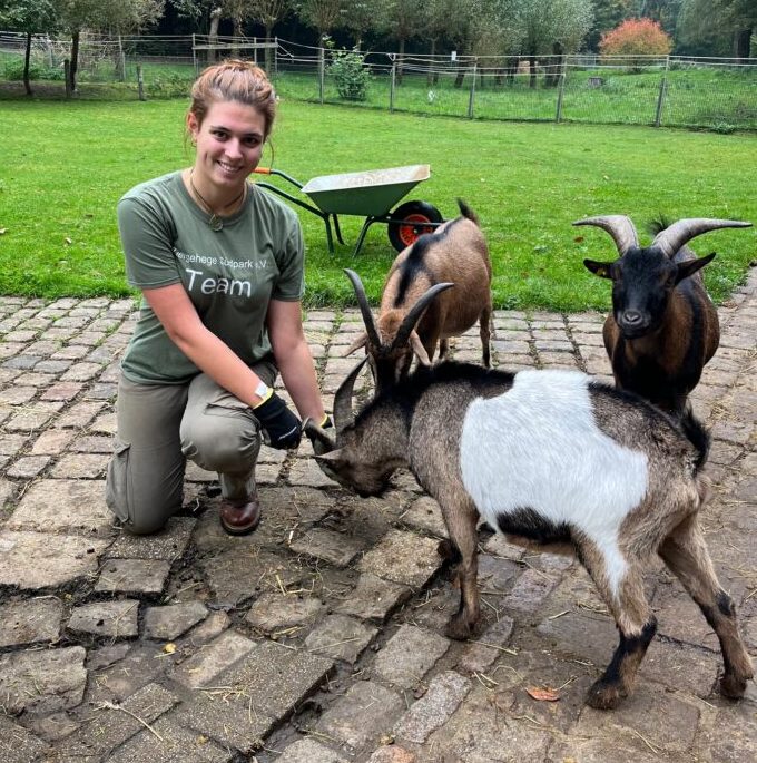 Verein kümmert sich um das Tiergehege im Höntroper Südpark