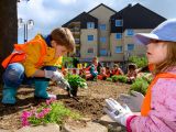 Kita übernimmt Patenschaft für Beet auf dem Lahariplatz