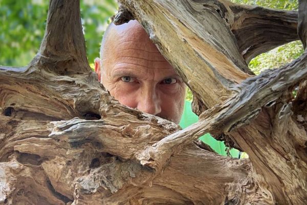 Holz ist das Material, mit dem sich Torsten Kornberg künstlerisch ausdrückt.