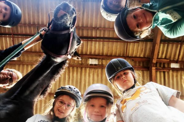 STWBO 3108 PowerPiraten Reitschule 05d6ac51