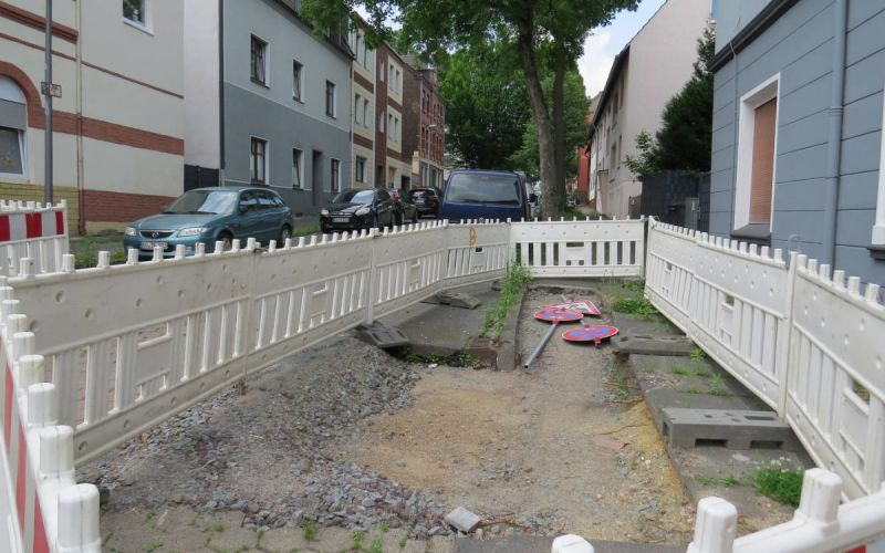 Werner Heide: 32 neue Bäume und Sträucher