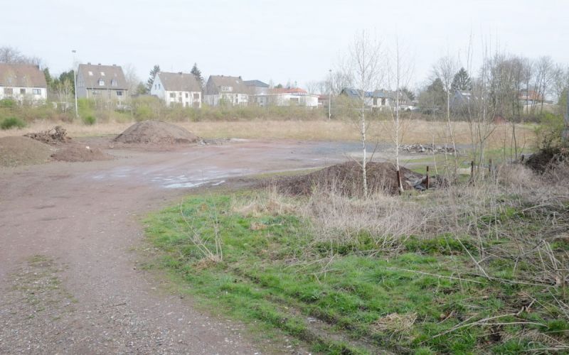 Beckmannshof: Einst stolzes Stadion, heute eine Ruine