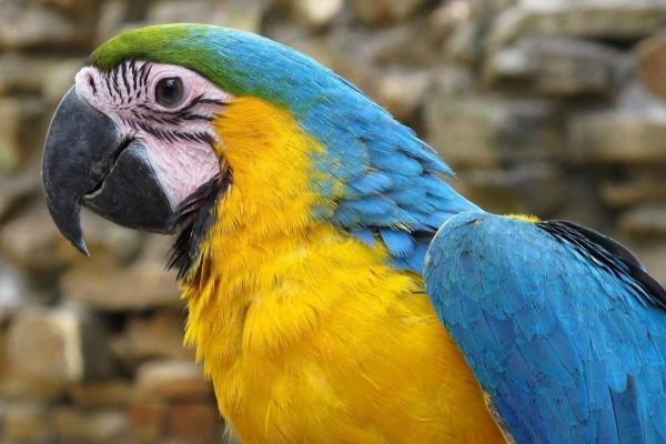 Tierpark Bochum: Freier Eintritt für geflüchtete Menschen aus der Ukraine