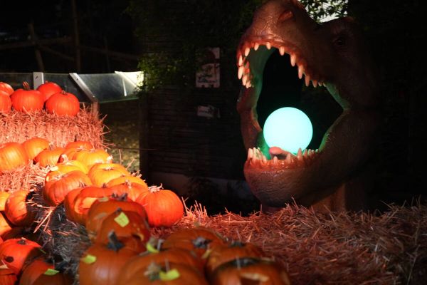 Illuminierte Dinos sorgen für die richtige Stimmung. Fotos: Tierpark Bochum