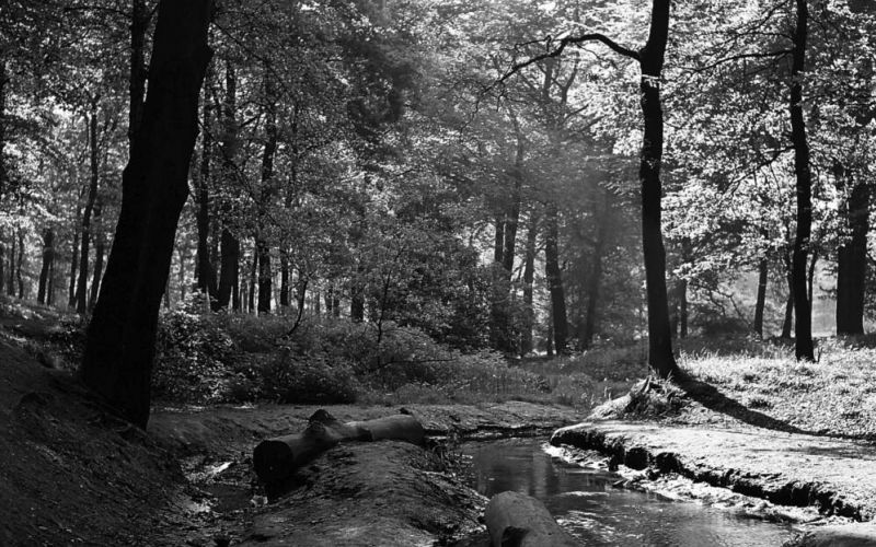 Histobo: Fast wäre die Berger Mühle ein Revierpark geworden