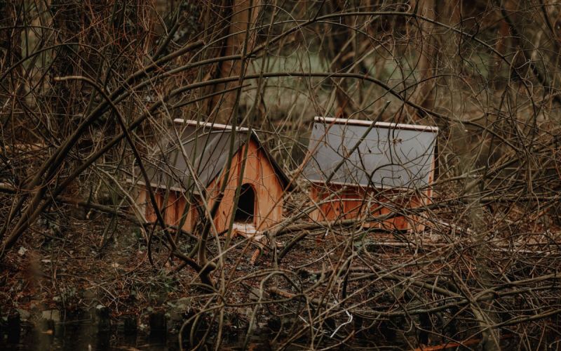 Spaziergänger sind von den neuen Zufluchtsorten für Enten begeistert. Fotos: Katharina Stipp