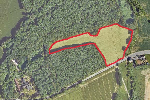 Berghofer Holz: Hundewiese soll kommen