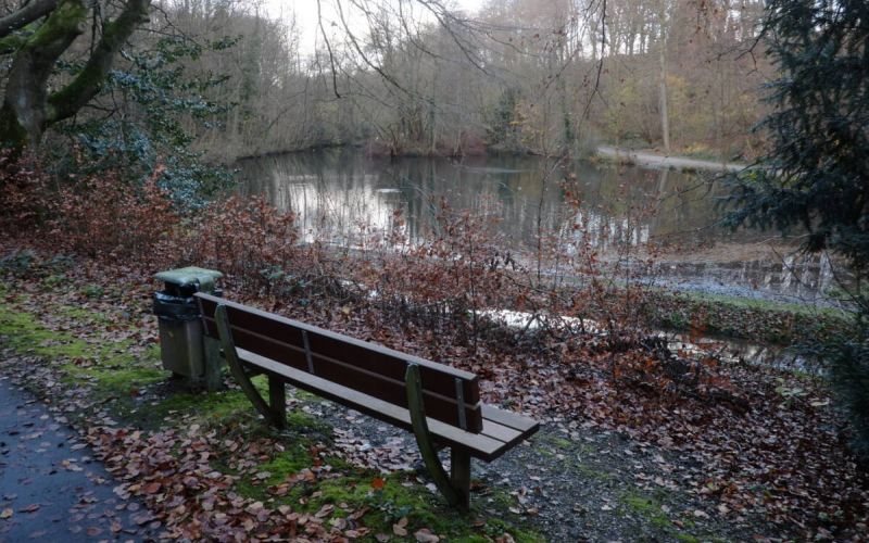 In diesem Winter wird der Teich im Volkspark Hiltrop entschlammt – das Foto ist von Ende November, da hatten die Arbeiten noch nicht begonnen