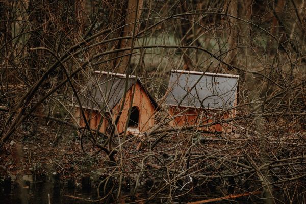 Spaziergänger sind von den neuen Zufluchtsorten für Enten begeistert. Fotos: Katharina Stipp