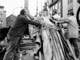 Als die „Germania“ demontiert wurde - Blick in die Historie Langendreers