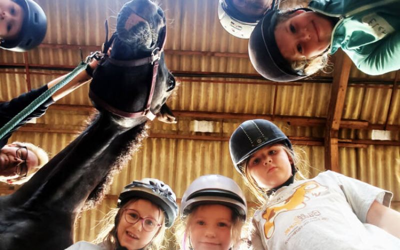 STWBO 3108 PowerPiraten Reitschule 3a350232