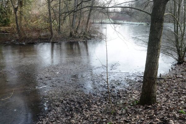 Der Bockholtteich braucht dringend eine ökologische Verbesserung – die aber kommt erst im nächsten Winter