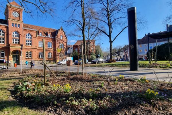 Urban Gardening: Blumen, Gemüse und Kräuter mitten in Langendreer