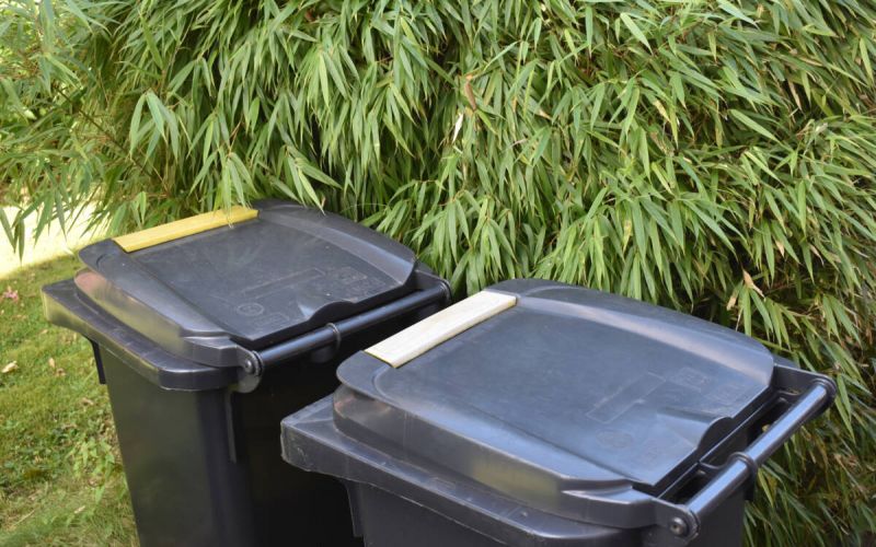 Gelbe Tonne soll stadtweit kommen