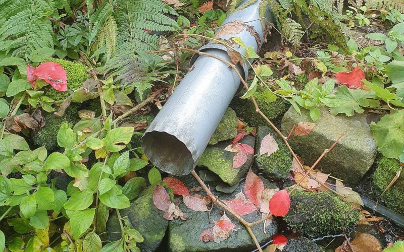 Am 18. März ist Wassertag bei der IG Grumme