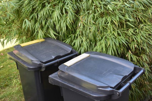 Gelbe Tonne soll stadtweit kommen