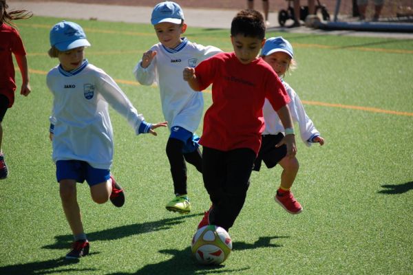 Die SpVgg Gerthe 11 will das Gerdi-Harpers-Stadion